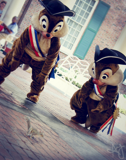 tinkeperi:Disney Parks: Chip and Dale:)We are one of you! Come back!!!