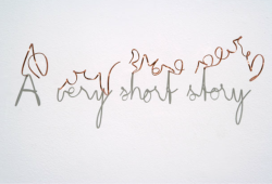 freystupid:  ‘A very short story-with a lot of fiction in the middle-and something real in the end’ (2005)   Fred Eerdekens copper wire, light 