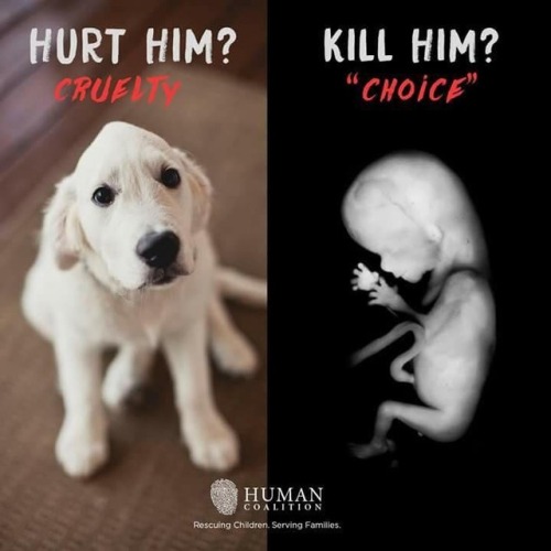 goandannouce:Say NO To Abortion