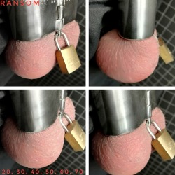 Ransommoney:ballcuff Applied. 30Mm. Last Weeks 50Mm Was Hard For Ransom. We Will