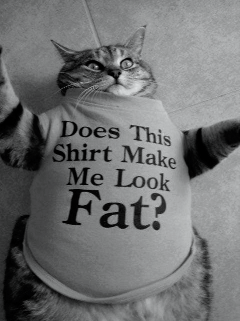 shygawife: babygirlssweetsurrender: :-D Scarlett - LOL