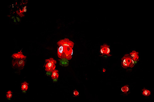 Chinese Lantern Festival and Noodle Market, Chinese New Year, Auckland Domain Park, New Zealand.