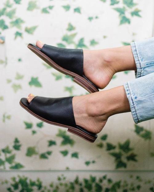 Banded leather sandals on pretty feet.