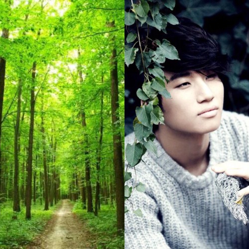sexywolvesandcookies: AvatarLA&amp;KPOP  BigBang GDragon - Fire TOP - Water  Taeyang - Earth  Da