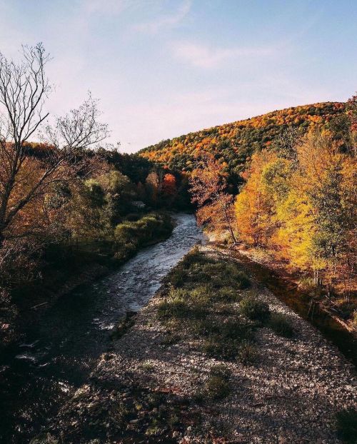 utwo: Cabin Arkville New York© Dry Brook Cabin