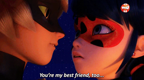 Chat Kisses Ladybug