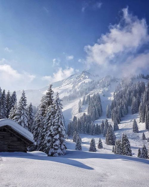 Ein Winterwunderland im Montafon in Vorarlberg ❄️❄️❄️ © @_pixelkat_#alpenliebe #weloveaustria #sno
