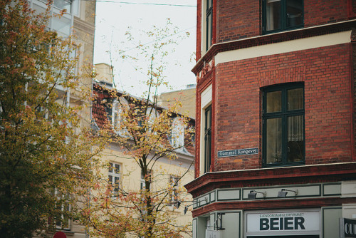 petalier: 337/365 Autumn in Copenhagen by M. Klasan on Flickr.