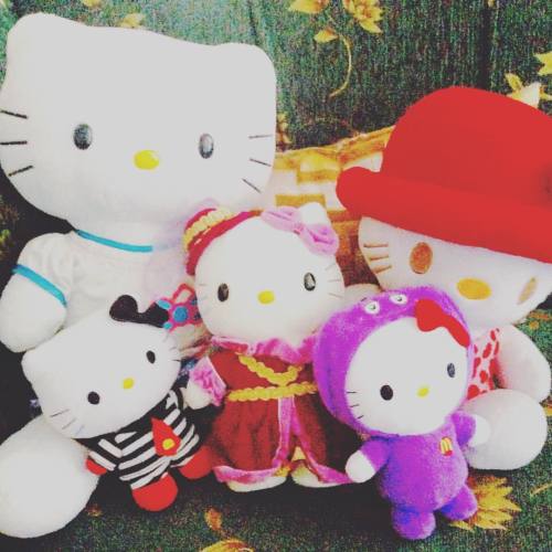 My Babies #HelloKitty #sanrio #collections #happy #stuffedtoys