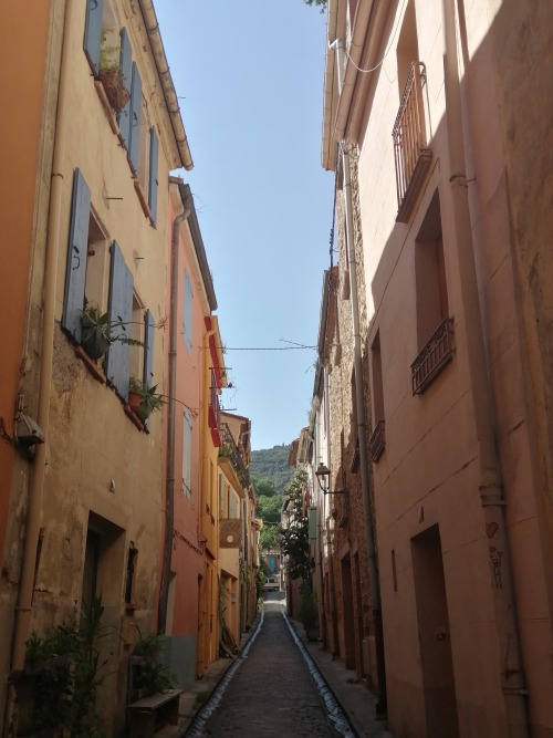 Céret (Pyrénées-Orientales, France), Juin 2021