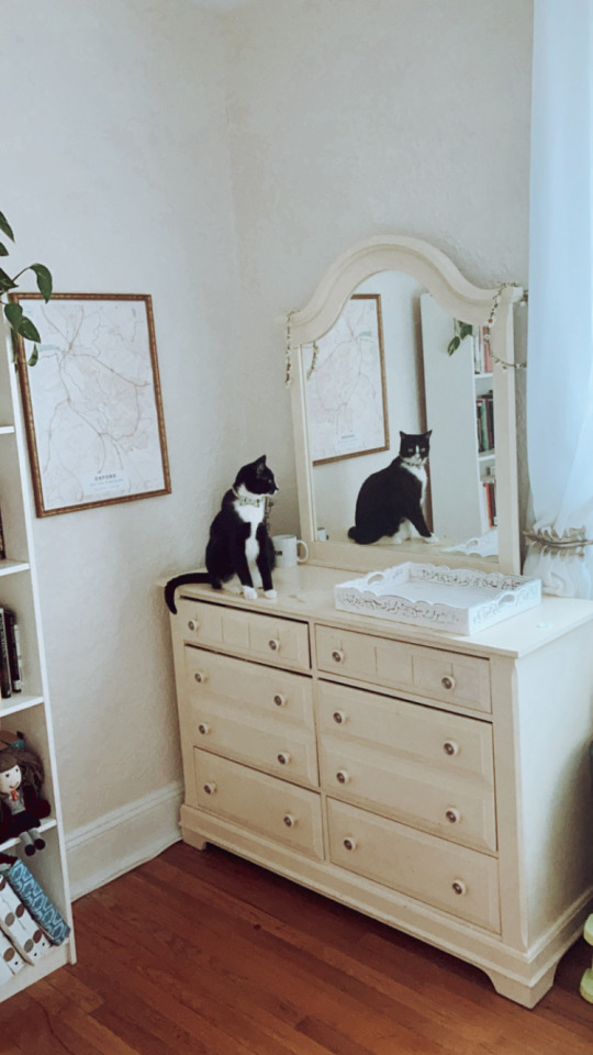 alwaysbringabookwithyou:27.06.2021 This is a cottagecore cat appreciation post. Insta: