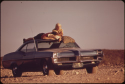 old-hopes-and-boots:   Visitors sunbathing