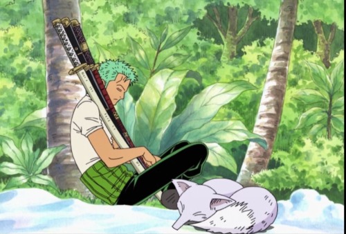Happy Birthday Zoro