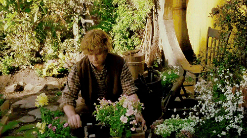 The Shire Must Truly Be A Great Realm, Master Gamgee; Where Gardeners Are Held In High Honor.