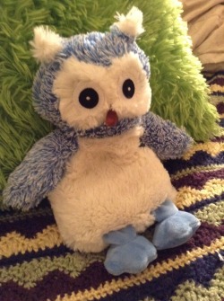 fonderblonder:  This is Lavy Hoot Hoot, you can heat them up in the microwave so they smell like lavender and they cuddle with me during panic attacks