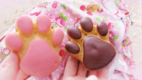 amaltheadeluna:We got these really cute cat paw,…cakes?…at Tokyo Station and took them to the park w