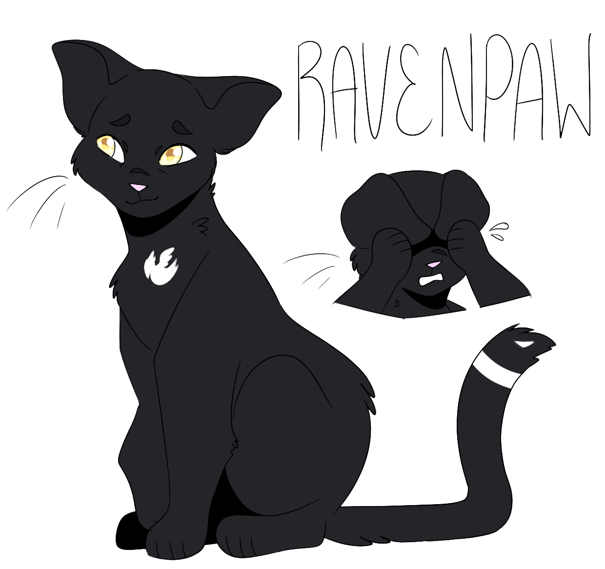 Ravenpaw  Warrior Cats