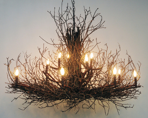 wishdesignsusa