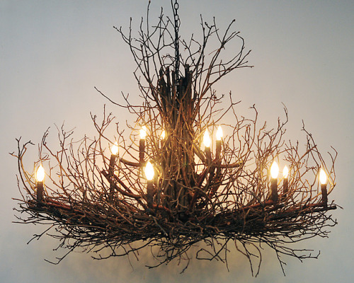 wishdesignsusa