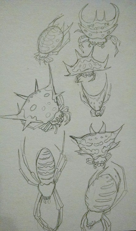 I love spiders. Here are some mostly made up orb weavers from my sketchbook.