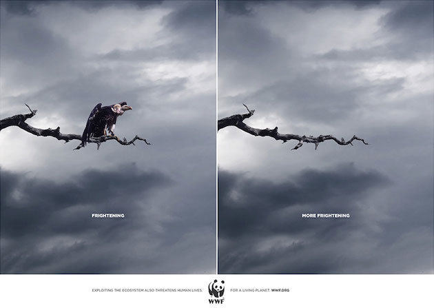 jedavu:  POWERFUL ANIMAL AD CAMPAIGNS