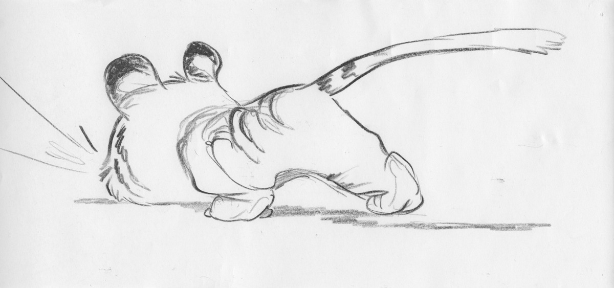 Dreamworks daily on tumblr