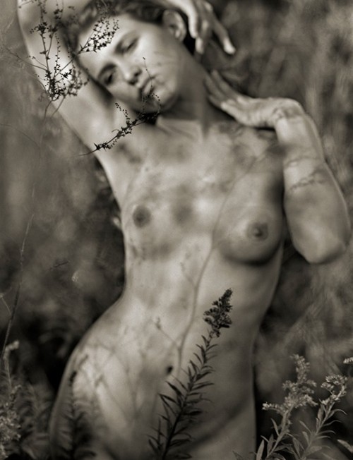 almavio:Rod Cook • Lady in the Weeds