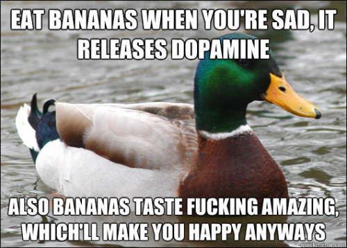 thefingerfuckingfemalefury:jaxblade07:hipsterinatardis:wolkenteiler:Actual Advice Mallard.Bad news f