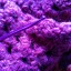 hooked-by-yarn