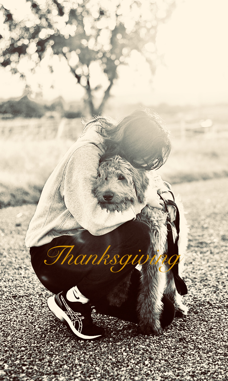 Happy 🍁 Thanksgiving