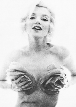 hisgem:  Marilyn Monroe photographed by Bert