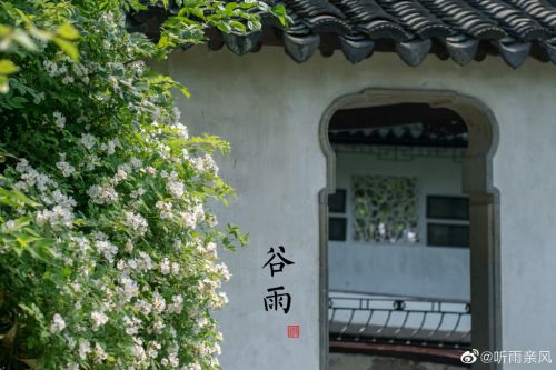 fuckyeahchinesegarden:suzhou gardens in summer by 听雨亲风