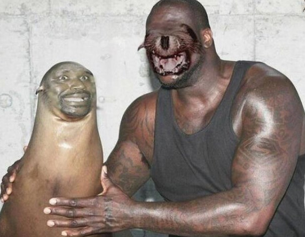 kittygloblack:sixpenceee:A compilation of creepy &amp; hilarious face swaps!
