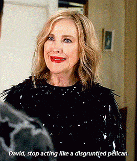 caroldcnvers:#when mom finds you acting like a disgruntled pelican
