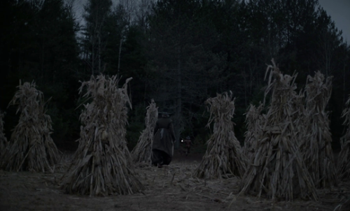 nemovulpes:  The Witch (2015), dir. Robert adult photos