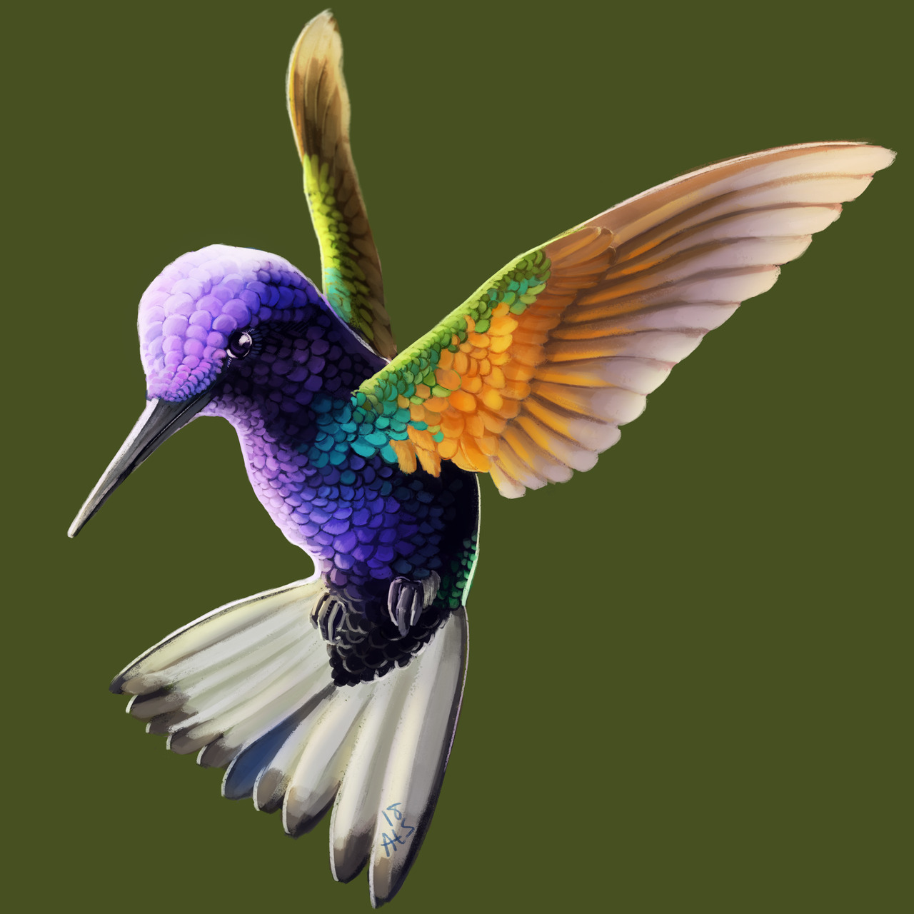 day 282, a velvet-purple coronet! @stressed-dragon requested some kind of hummingbird, and then later I was shown this fantastic bird.
Requests for birds are open!
[project tag]
Want to help support this challenge?
[commissions] | [kofi]