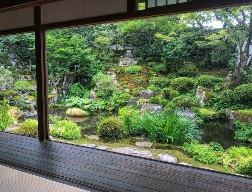 ＼おにわさん更新情報／ ‪[ 京都市左京区 ] 実光院庭園“契心園” Jikkoin Temple Garden, Ohara, Kyoto の写真・記事を更新しました。 ーー四季の草花が見どころの２