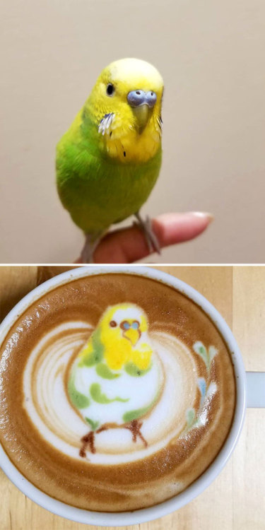 garland-on-thy-brow: nae-design: Stunning froth masterpieces by latte artist Ku-san @catullan