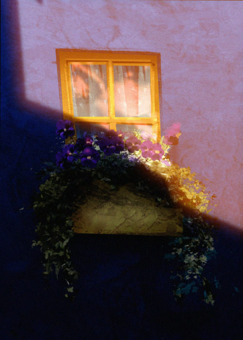 Doodling some flowers and a window from a few nights ago, mocked up different times of day/light sit