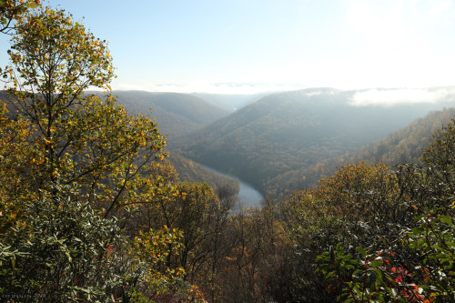 vandaliatraveler:When I reached the Cheat River Canyon this past Saturday morning, the fog was so he