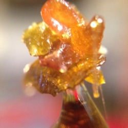 zzvspecial:  The five flavor dab.   Chemdawg.