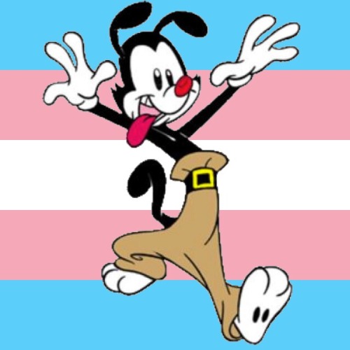 trans yakko icons for @and-yakko-yacks ☆