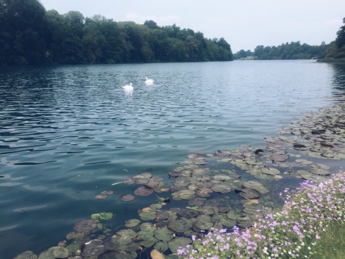 travels-ofadreamer: Blenheim Palace Lake