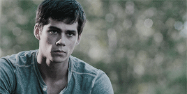 Newt, Newt, Newt,