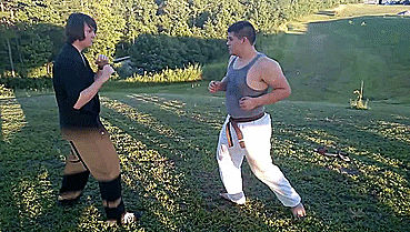 heroofomegle:  Shaolin Bird Kung Fu (video) 