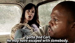  Grimes Family Appreciation↳ Day 2: Favorite Lori scenes 