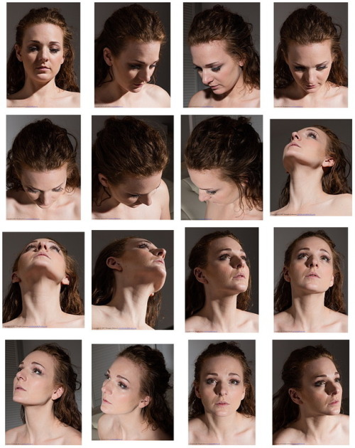 Heads are challenging.Here’s a collection of angles from CatH, just photographed this Friday.