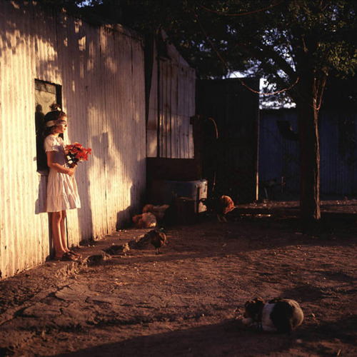 hansel’s monday morning inspiration: alessandra sanguinetti the adventures of guille and belin