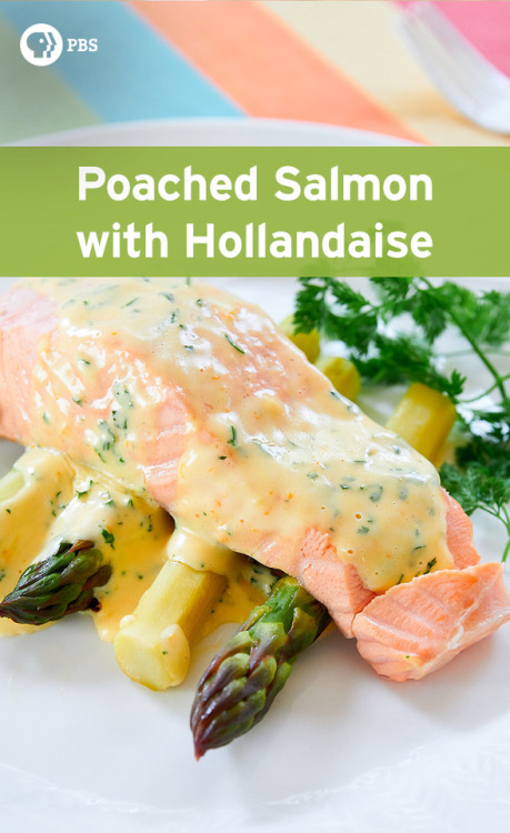 Poached Salmon with Hollandaise from PBS Food
