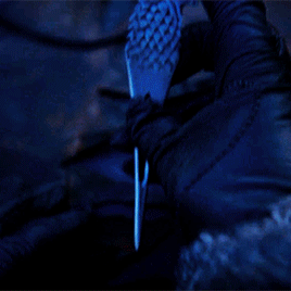 queenginnys:You’re a Greyjoy, and you’re a Stark.